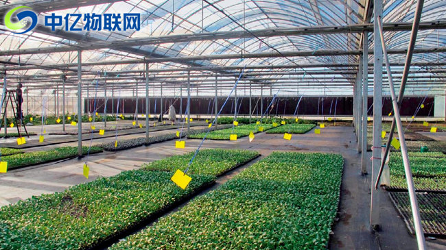 生產(chǎn)監(jiān)控設(shè)備流量卡：物聯(lián)網(wǎng)讓農(nóng)業(yè)生產(chǎn)精細(xì)化！