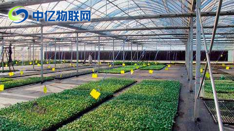 物聯(lián)卡智慧農(nóng)業(yè)提高農(nóng)業(yè)生產(chǎn)效率